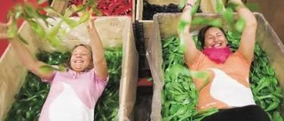 Sporkfabrik ska bli turistattraktion