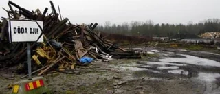 Minnesplats för döda djur saknas