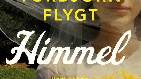 Torbjörn Flytgs ljudbok Himmel