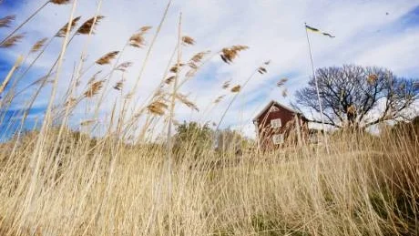 Kommunen vill gärna att Rågö ska bli en strategisk del i kommunens besöksnäring. Men man säger nej till att ta över ägandet. Nu skissar intresseföreningen på ett förslag om att bilda en ägarstiftelse för att säkra verksamheten på ön.
