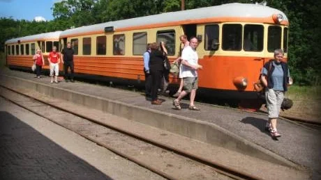 Ta smalspåret till Ankarsrum under durspelsstämman.