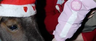Gemytlig julmarknad i Hjorted
