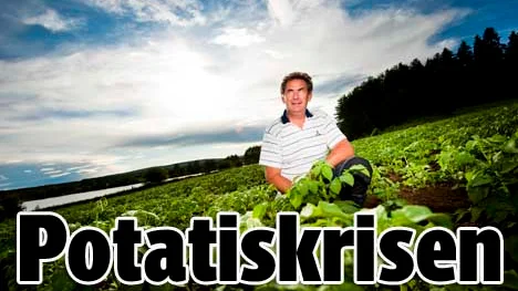 Potatisodlare