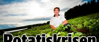 Kristider hotar Norrbottens potatisodlare
