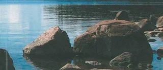 Plirigt, allvarligt och ojämnt