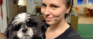 Nyårsraketerna kan vara en plåga för hundarna