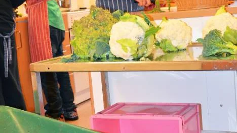 Elever från sex olika klasser i Myranskolan var fullt engagerade i att laga något gott av alla de grönsaker de skördat från den gångna sommarens odling.