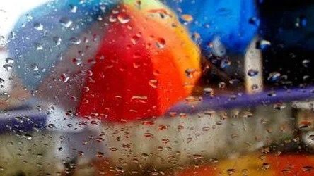 En film, lite regn och några rader från Nina Kinert får Linda Moestam att fundera över alla val vi gör dagligen. Stora som små.