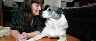 Dumpad hund fick nytt hem