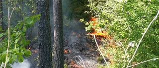 Grillning orsakade skogsbrand