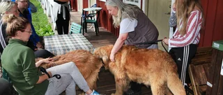 Hundsim som kan rädda liv