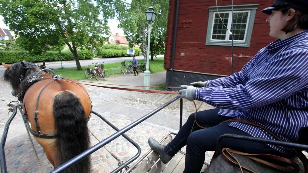 Handikapssanpassat. Friluftsmuseet har tillsammans med Kultur- och fritid för äldre handikappsanpassat hästvagnen så alla kan vara med och åka vagn.