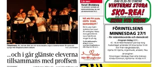 Ny utredning om Kulturskolan klar