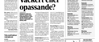 Politiker vill se illgula huset