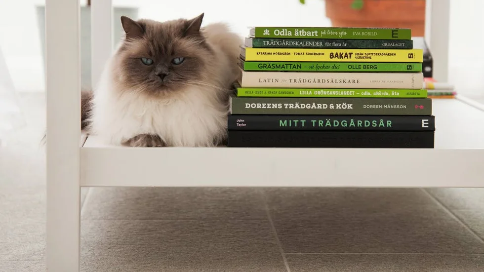 Regniga dagar när katten helst stannar inne och grönsakslandet känns som lervälling är som gjorda för att läsa trädgårdsböcker.