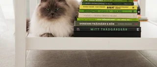Vårens grönskande böcker
