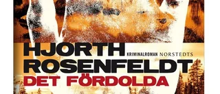Hans Rosenfeldt och Michael Hjorth: Det fördolda