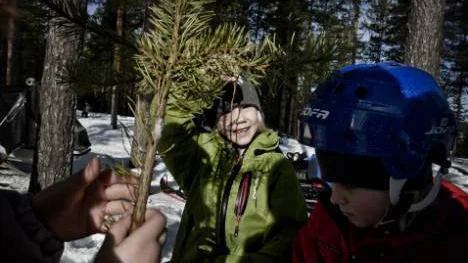 Thilde Sällström, 6, i mitten leker med sina kompisar. "Vi gör en kaka på snö och barr. Den blir lite stickig", säger hon.