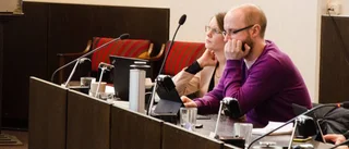 "Positivt att han är kritisk"