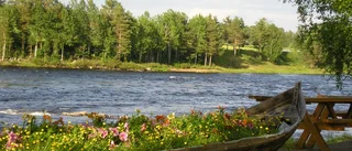 Tornedalen som Jarhois