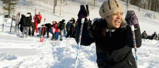 Nya svenskar på is och snö