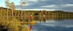 Fiskeskribentens dilemma
