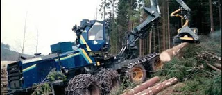 Hundratals skogsjobb hotas