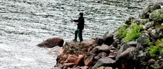 Laxen lurade alla fiskare vid fallet