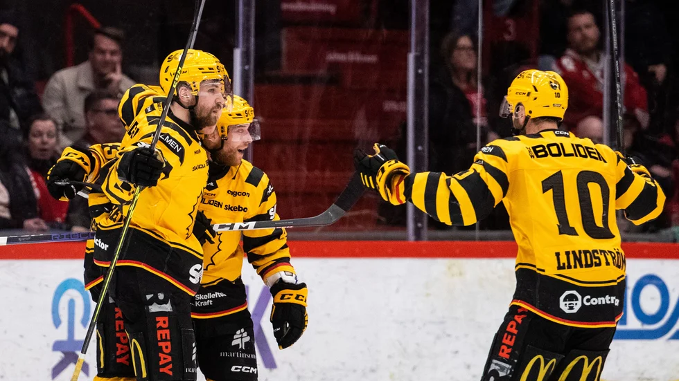 Skellefteå AIK fick jubla i andra perioden efter att Elias Salomonsson ledningen – ett mål som blev matchvinnande.