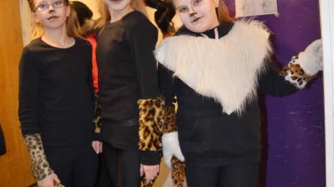 Jacqueline och Jasmine Wikström, tillsammans med Sandra Gustafsson var minst sagt kattlika.