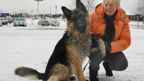 Benita Benstedt är nyinflyttad Haparandabo. Livet i en gränsstad är mer dynamiskt än livet i inlandet, tycker hon.Hon har tidigare bott i södra Finland och i Gällivare. Hennes sällskap på bilden heter Rambo.FOTO: linda danhall