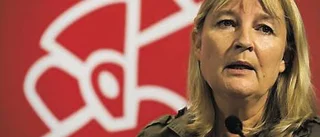Norrbotten nollat i EU-nomineringen