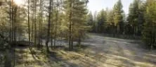 Fiskarnas blodfynd blev avgörande