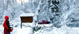 "Nu börjar man tröttna"
