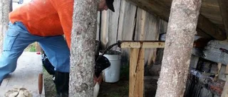 Kanoner och nyodlare i Östra Flakaträsk