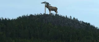 Pengar saknas till bygget av jätteälgen Stoor´n