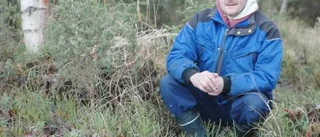 Explosiv åker i Ojaladalen