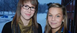 Skolan får godkänt