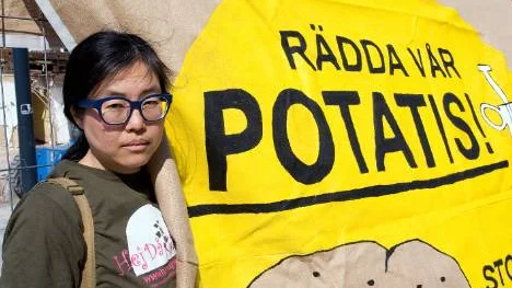 Akiko Frid på Greenpeace säger att den här händelsen gör att man inte riktigt kan lita på potatisodlarna. FOTO: elisabeth hedman
