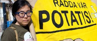 Het potatis hittades