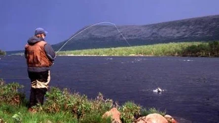 Få strömmande vatten i landet har helt egna, vilda stammar av fisk.