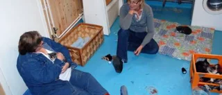 Först stöd - sedan nya hem