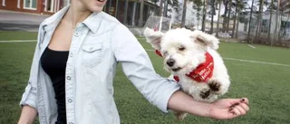 Hund-ra gånger roligare att dansa med hund