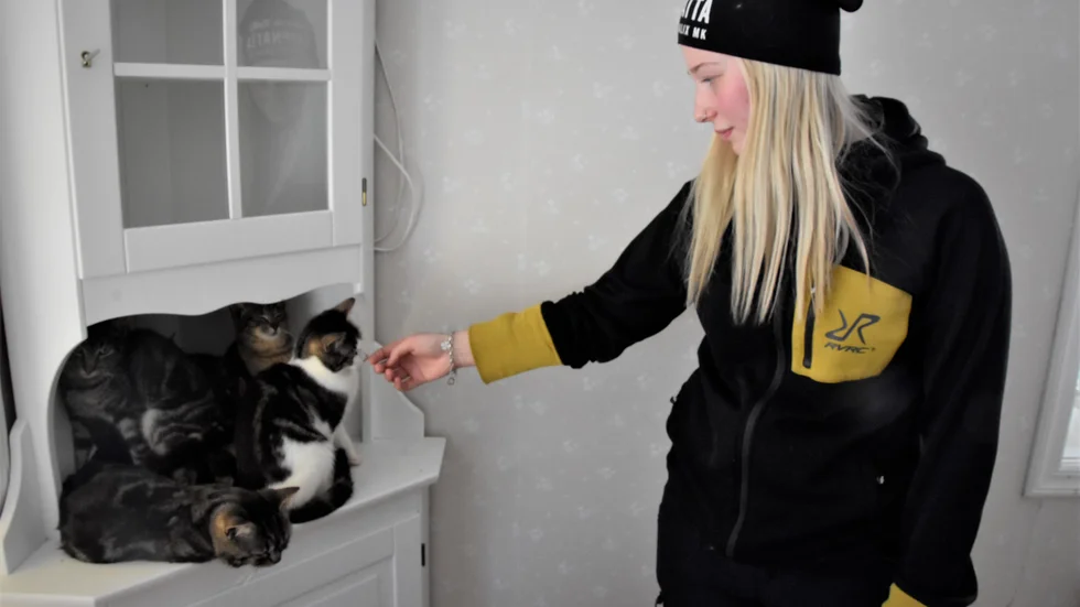 "Det är många som engagerar sig och hjälper på sätt de kan hjälpa. Det är kanske inte alla som kan ta hem 16 katter", säger Mia Wallén.