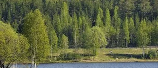 Sist i kön - bara 19 tomter på 800 sökande