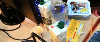 48 timmars häng med LAN-kompisar