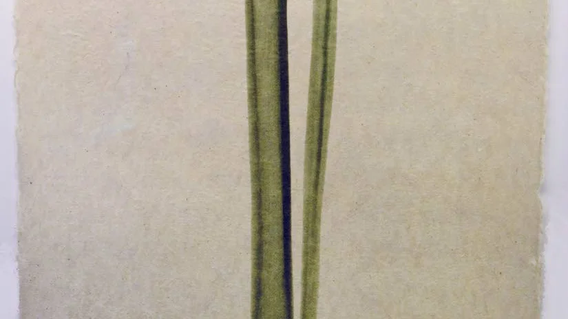 Visuell ömhet/XII, fotopolymer av Börja Almqvist.