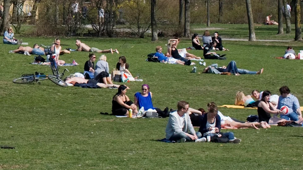 STOCKHOLM 20090426 
Solbadare i försommarvärmen i Tantolunden på Södermalm i Stockholm på söndagen. Temperaturen i den kungliga huvudstaden nådde på söndagen 20-graders strecket. 
Foto: Fredrik Sandberg / SCANPIX / Kod 10080