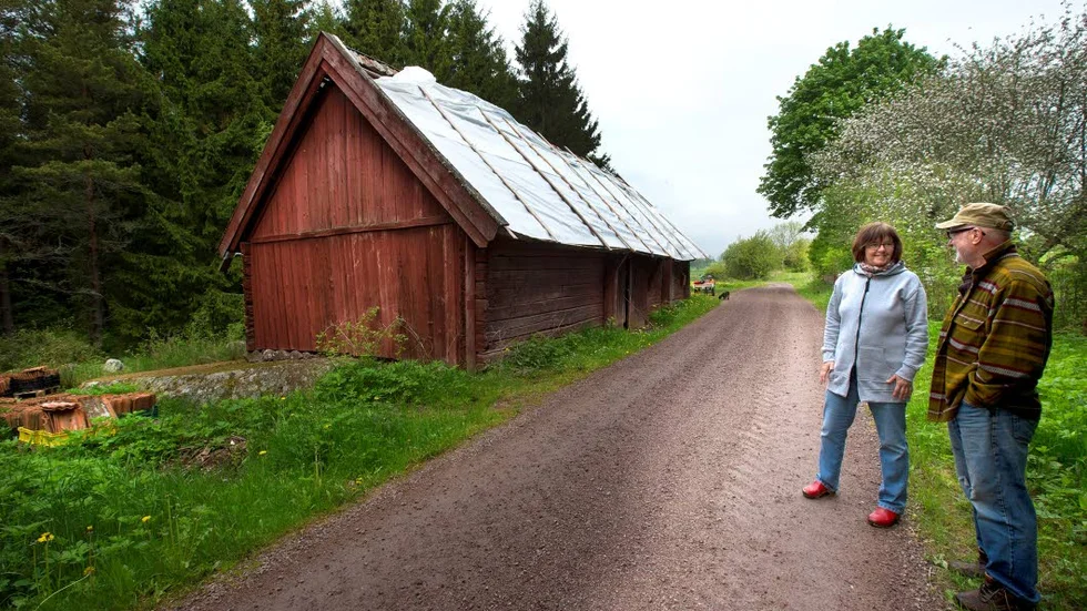 Utställning.
Monica Rosengren och Ari Drake visar ladugården som de vill renovera till utställningslokal.