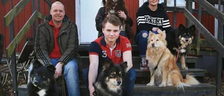 De föll för Folkets hus